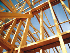XI Curso de Construccin con Madera