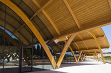 Bodegas Protos