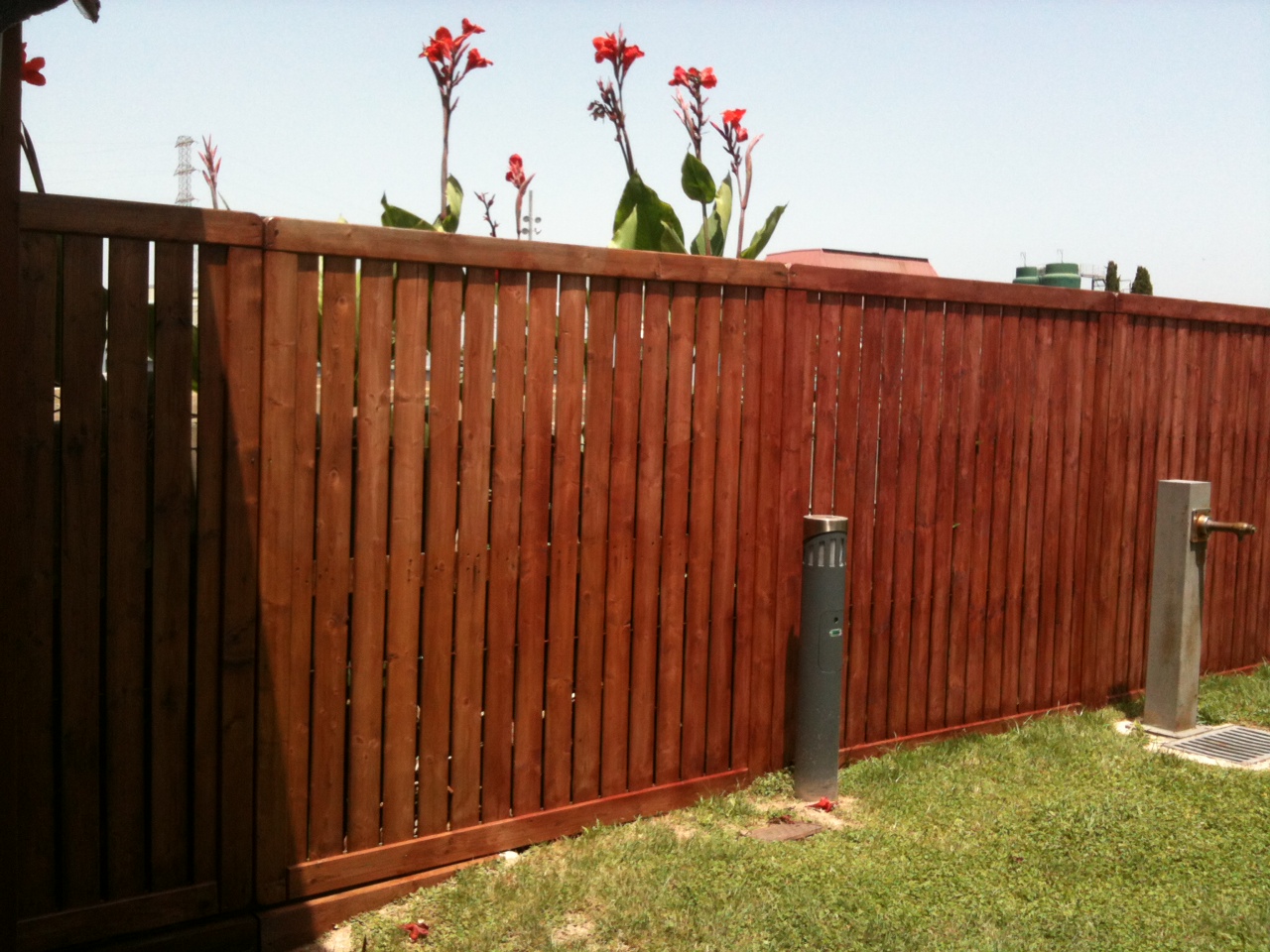 Pintado de Valla de Jardn