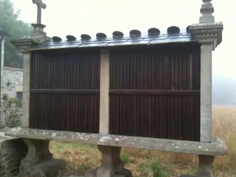 Recuperacin de un Hrreo en Galicia