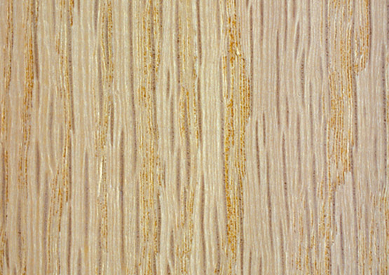 Madera frondosa 1