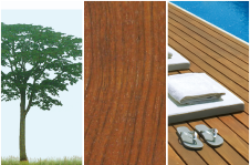 Madera Tropical