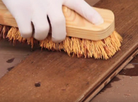 CEDRIA WP Cleaner